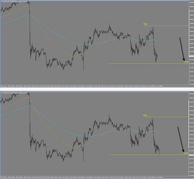 Click to Enlarge

Name: aud short.jpg
Size: 44 KB