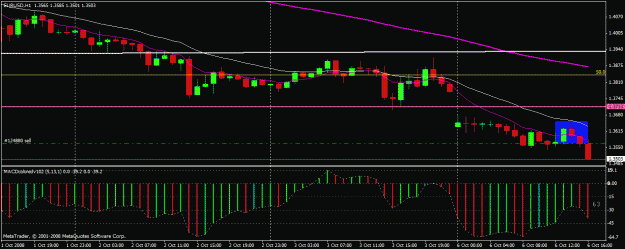 Click to Enlarge

Name: eurusd 1006 1h 3.gif
Size: 22 KB