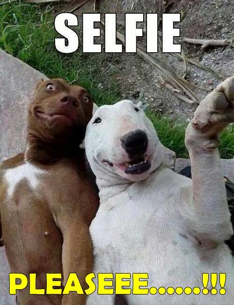 Click to Enlarge

Name: selfie pleaseeee.........jpg
Size: 179 KB