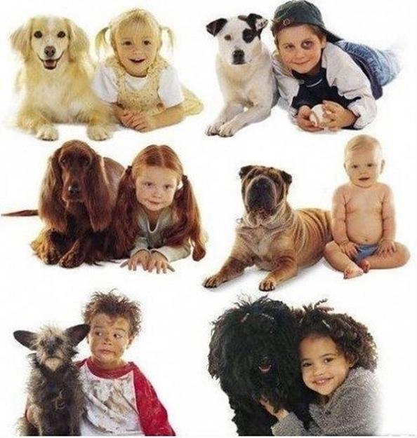 Click to Enlarge

Name: similarity in reality.jpg
Size: 229 KB