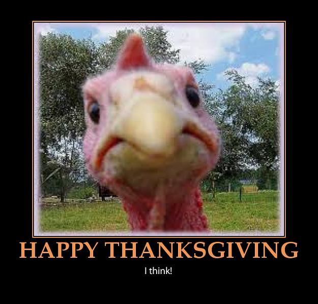 Click to Enlarge

Name: happy-thanksgiving-america-funny-turkey1.jpeg
Size: 104 KB
