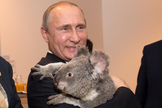 Click to Enlarge

Name: Putin-with-koala.jpg
Size: 1.6 MB