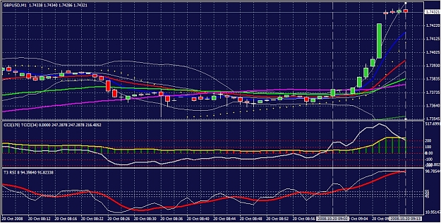 Click to Enlarge

Name: gbpusd20102008-01.jpg
Size: 508 KB