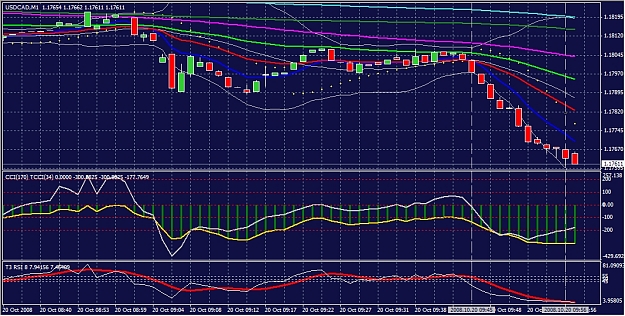 Click to Enlarge

Name: usdcad20102008-01.jpg
Size: 531 KB