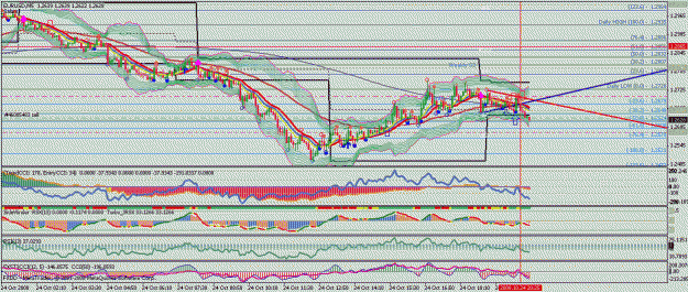 Click to Enlarge

Name: eurusd.gif
Size: 40 KB