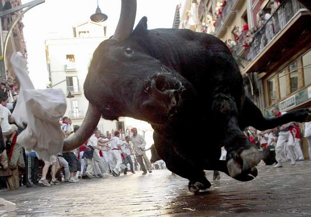Click to Enlarge

Name: ChargingBull.jpg
Size: 47 KB