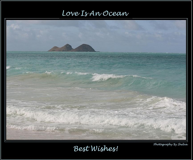 Click to Enlarge

Name: Love Is An Ocean1.jpg
Size: 75 KB
