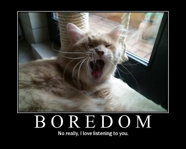 Click to Enlarge

Name: cat.jpg
Size: 45 KB