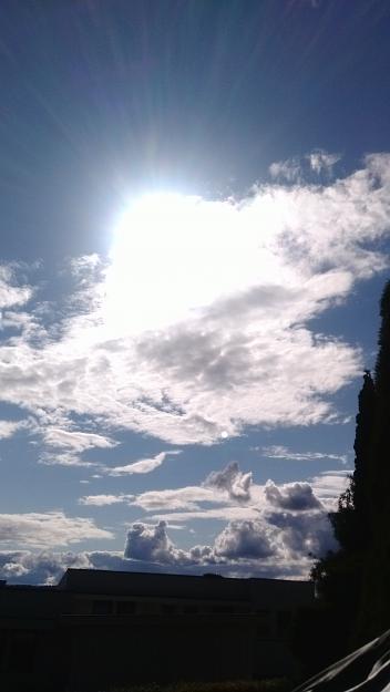 Click to Enlarge

Name: 1437405209339-1836006250.jpg
Size: 1.1 MB