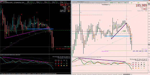 Click to Enlarge

Name: 11.9.15 AJ GJ short@ FO.png
Size: 99 KB