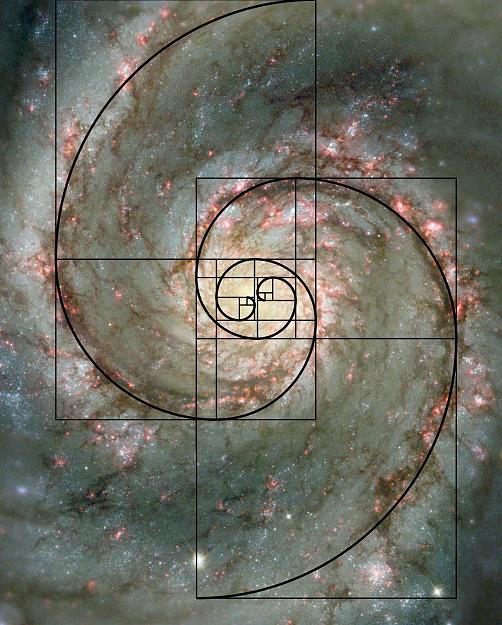 Click to Enlarge

Name: fibonacci-spiral-galaxy.jpg
Size: 458 KB