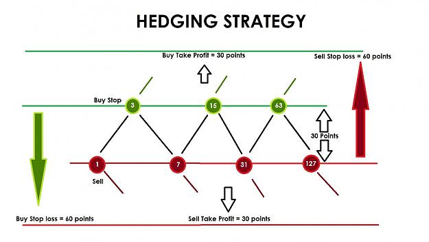 Click to Enlarge

Name: hedging strategy.jpg
Size: 127 KB