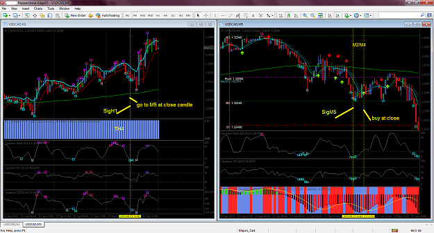 Click to Enlarge

Name: MetaTrader - Pepperstone.png
Size: 137 KB