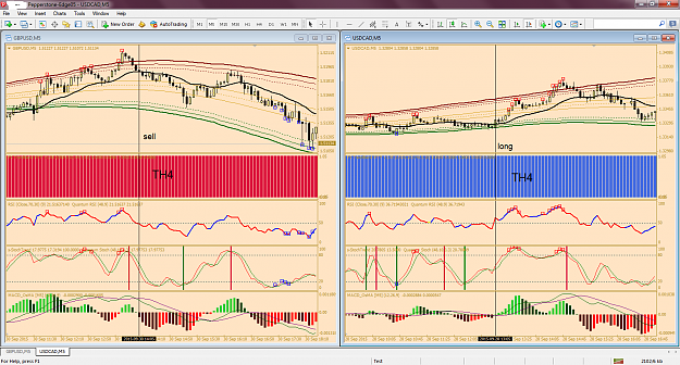 Click to Enlarge

Name: MetaTrader - Pepperstone.png
Size: 127 KB