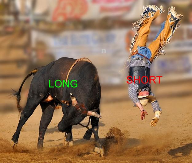 Click to Enlarge

Name: Crazy-Bull.jpg
Size: 187 KB
