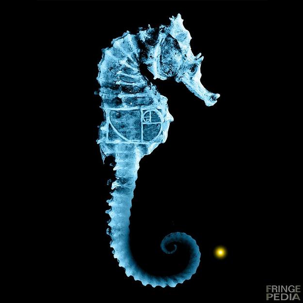 Click to Enlarge

Name: seahorsefibonacci.jpg
Size: 83 KB