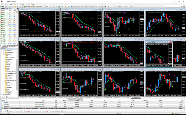 Click to Enlarge

Name: forex.png
Size: 224 KB