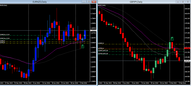 Click to Enlarge

Name: EURNZD+GBPJPY Dly tf open trades sat 6Feb.png
Size: 35 KB
