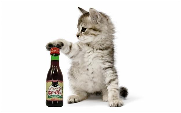 Click to Enlarge

Name: wine-for-cats.jpg
Size: 96 KB