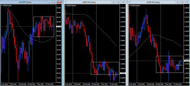 Click to Enlarge

Name: CADJPY+GBPCAD+EURCAD Dailt tf sun 27Mar.png
Size: 36 KB