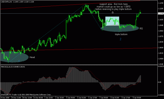 Click to Enlarge

Name: usdchf1hour_10jan.gif
Size: 15 KB