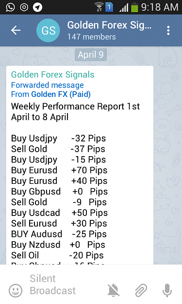 forex signals 1000 pips a day