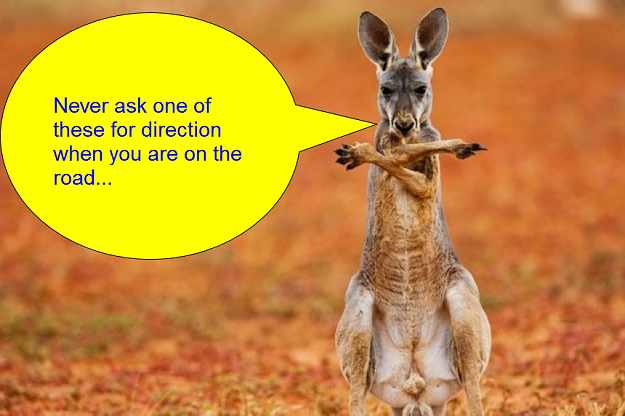 Click to Enlarge

Name: Kangeroo direction.png
Size: 461 KB