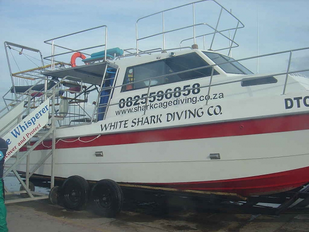Click to Enlarge

Name: Gansbaai Cage Diving 058.JPG
Size: 64 KB