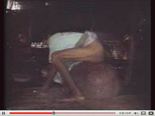 Click to Enlarge

Name: nuts.gif
Size: 180 KB