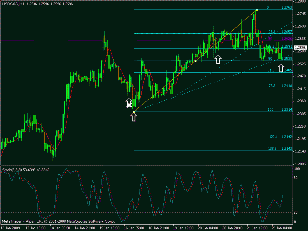 Click to Enlarge

Name: usdcad 1hr.gif
Size: 18 KB