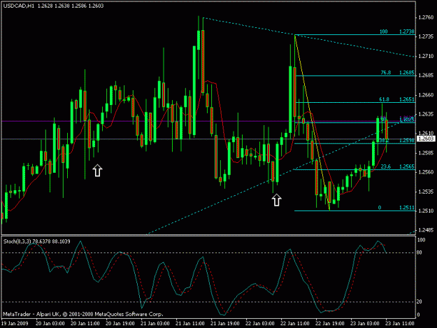Click to Enlarge

Name: usdcad 1hr.gif
Size: 18 KB