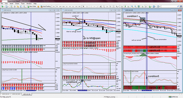 Click to Enlarge

Name: chart1.png
Size: 166 KB