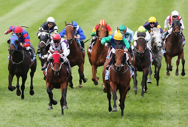 Click to Enlarge

Name: cox_plate.jpg
Size: 116 KB