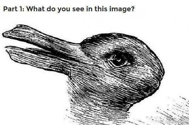 Click to Enlarge

Name: Rabbit or Duck.jpg
Size: 67 KB