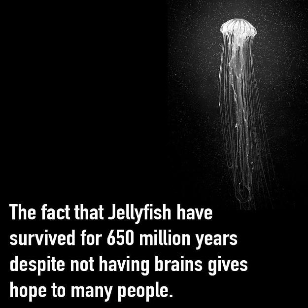 Click to Enlarge

Name: image.jpeg
Size: 84 KB