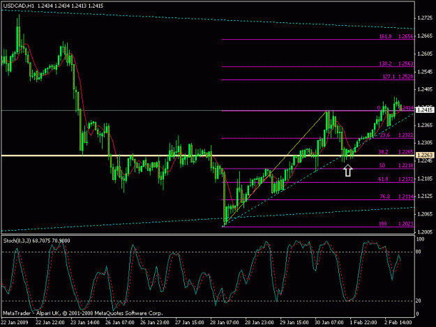 Click to Enlarge

Name: 0202 usdcad 1hr.gif
Size: 17 KB