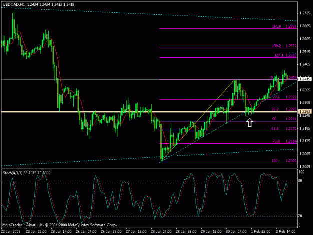 Click to Enlarge

Name: 0202 usdcad 1hr.gif
Size: 17 KB