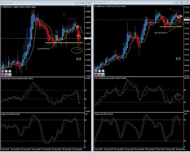 Click to Enlarge

Name: 1st day.JPG
Size: 265 KB