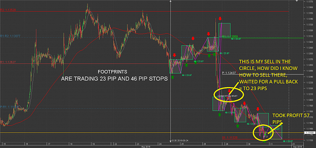 Click to Enlarge

Name: FOOT PRINTS Chart_EUR_USD_15 Mins_snapshot.png
Size: 93 KB