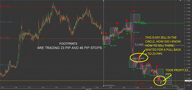 Click to Enlarge

Name: FOOT PRINTS Chart_EUR_USD_15 Mins_snapshot.png
Size: 93 KB