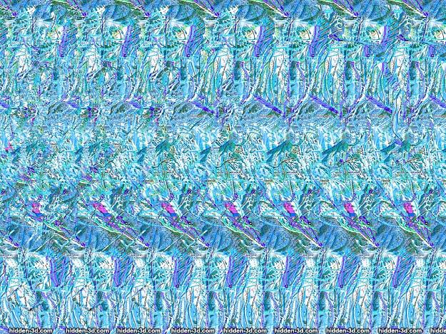 Click to Enlarge

Name: hidden-3d.com-gallery-3Dimka_skier.jpg
Size: 333 KB