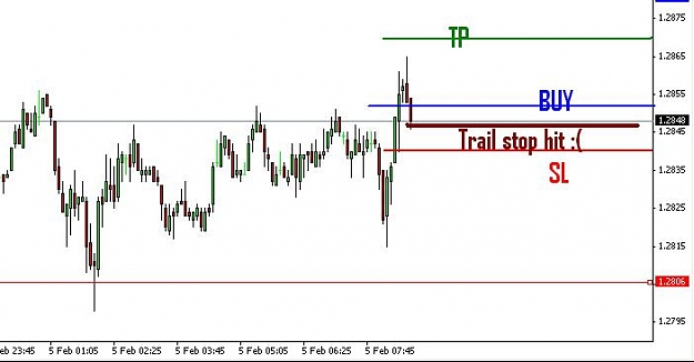 Click to Enlarge

Name: Trail hit.JPG
Size: 33 KB