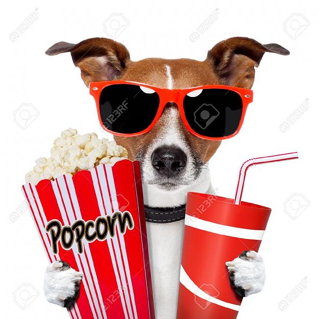 Click to Enlarge

Name: 14355372-dog-watching-a-movie-with-popcorn-and-coke-Stock-Photo-cinema.jpg
Size: 188 KB