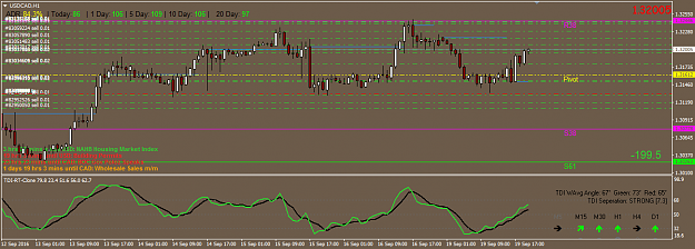 Click to Enlarge

Name: 2016-09-19 19_27  [USDCAD,H1]_minus_200pips_completely_blew_it.png
Size: 44 KB