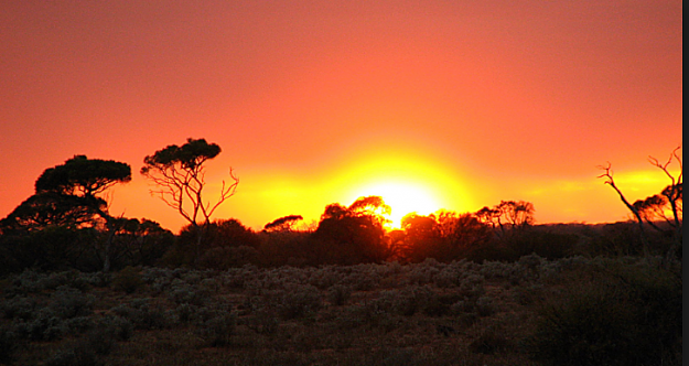 Click to Enlarge

Name: SUNRISE oct 17.png
Size: 598 KB