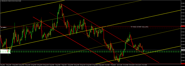 Click to Enlarge

Name: nzdusd-h4-27.png
Size: 77 KB