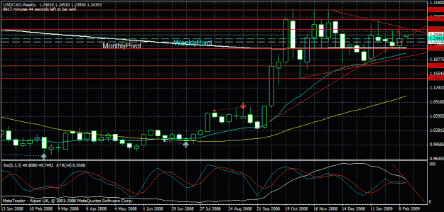 Click to Enlarge

Name: usdcad.wkly.021509.gif
Size: 29 KB