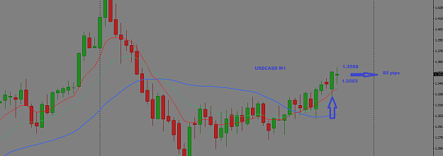 Click to Enlarge

Name: W4 USDCAD.png
Size: 33 KB