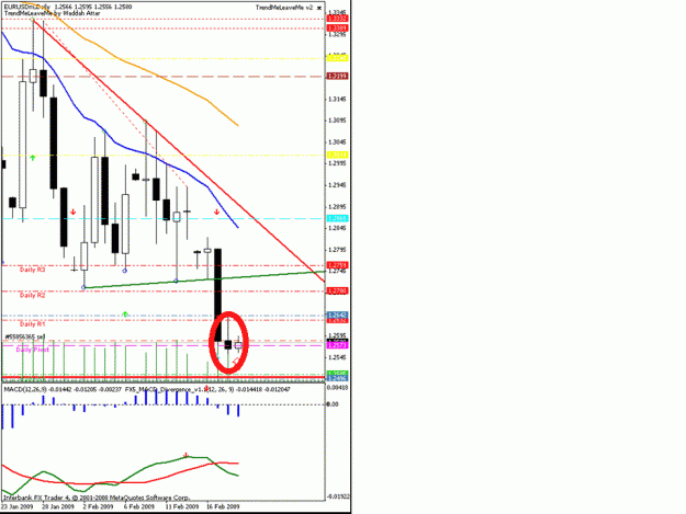 Click to Enlarge

Name: 19 feb 09 eurusd.gif
Size: 52 KB