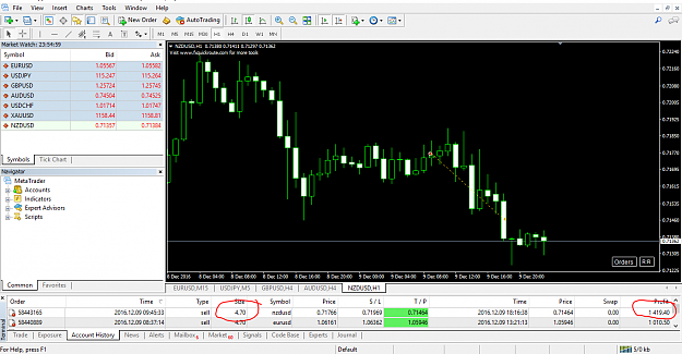 Click to Enlarge

Name: nzp1.PNG
Size: 80 KB